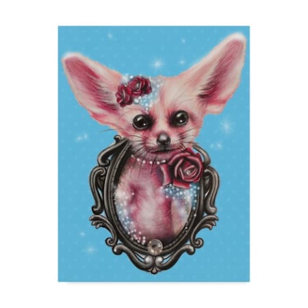 Sheena Pike Art And Illustration 'Fennec Fox' Canvas Art,24x32